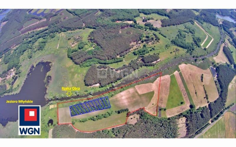 Działka pod inwestycje usługowo - produkcyjne — zdjęcie 7