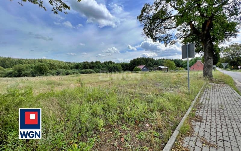 Działka pod budowę 2205m2 (warunki zabudowy) — zdjęcie 8