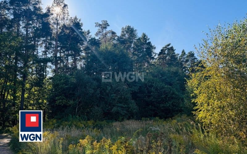 Działka budowlana przy samym lesie! — zdjęcie 2