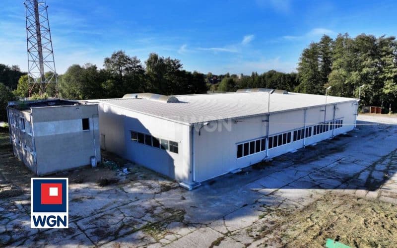 Na wynajem powierzchnia magazynowo-produkcyjna — zdjęcie 3